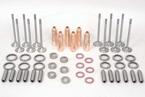 SLP®Überholung kit für Volvo TAD741GE ersetzt 877667