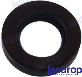 SPARE SEAL 1" LASEX-100