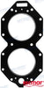 Recmar® Head Gasket Johnson/Evinrude 120 130 140 hp Loopcharged